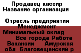 Продавец-кассир › Название организации ­ Southern Fried Chicken › Отрасль предприятия ­ Менеджмент › Минимальный оклад ­ 40 000 - Все города Работа » Вакансии   . Амурская обл.,Благовещенский р-н